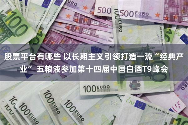 股票平台有哪些 以长期主义引领打造一流“经典产业” 五粮液参加第十四届中国白酒T9峰会