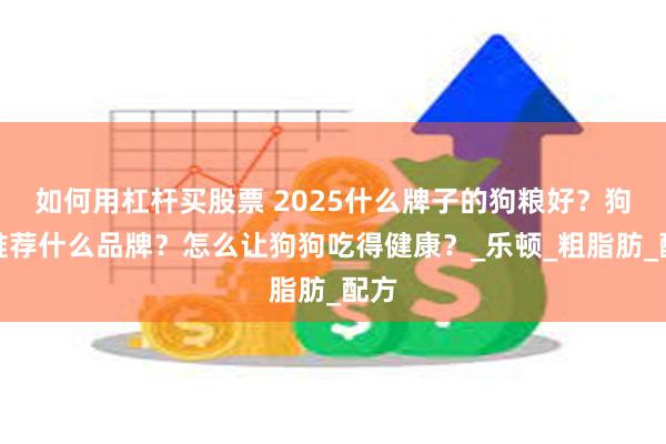 如何用杠杆买股票 2025什么牌子的狗粮好？狗粮推荐什么品牌？怎么让狗狗吃得健康？_乐顿_粗脂肪_配方