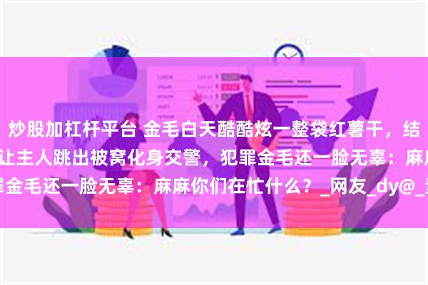 炒股加杠杆平台 金毛白天酷酷炫一整袋红薯干，结果半夜一个大“毒气弹”让主人跳出被窝化身交警，犯罪金毛还一脸无辜：麻麻你们在忙什么？_网友_dy@_素材