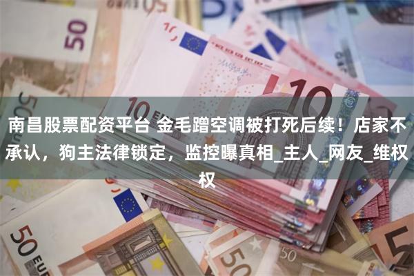 南昌股票配资平台 金毛蹭空调被打死后续！店家不承认，狗主法律锁定，监控曝真相_主人_网友_维权