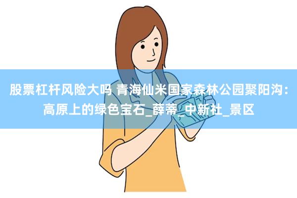 股票杠杆风险大吗 青海仙米国家森林公园聚阳沟：高原上的绿色宝石_薛蒂_中新社_景区