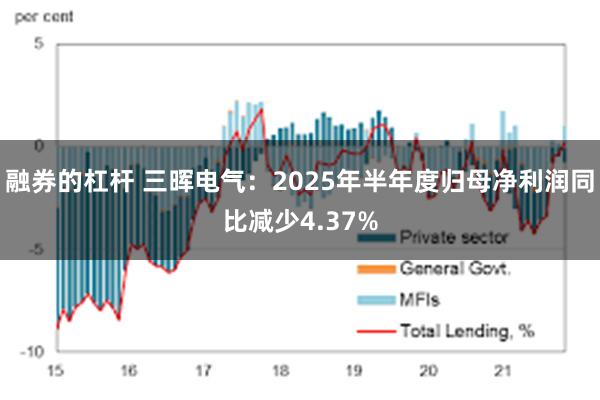 融券的杠杆 三晖电气：2025年半年度归母净利润同比减少4.37%